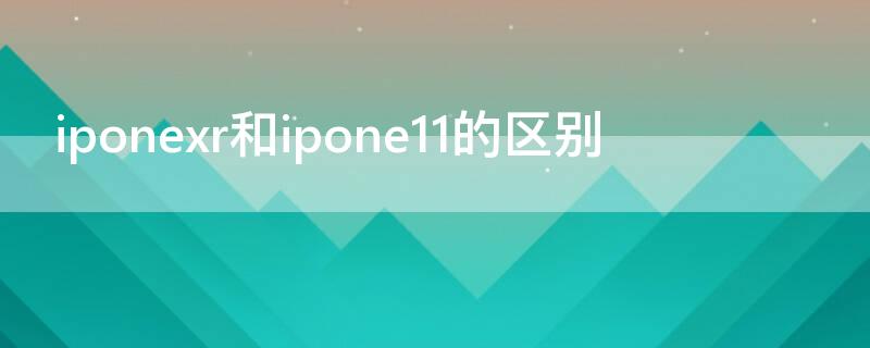 iponexr和ipone11的区别