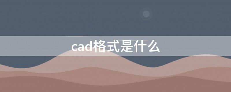 cad格式是什么 cad格式