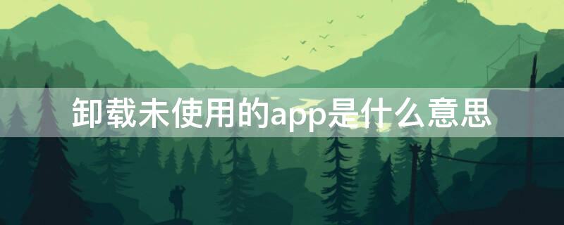 卸载未使用的app是什么意思 苹果卸载未使用的app是什么意思