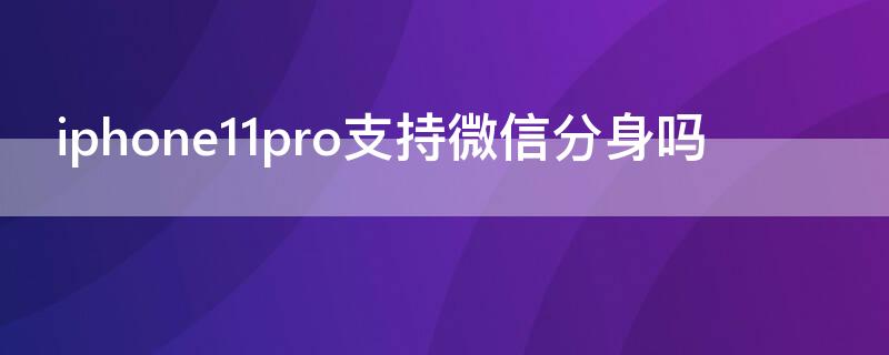 iPhone11pro支持微信分身吗（iphone12pro支持微信分身吗）