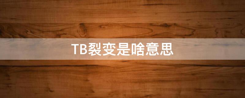 TB裂变是啥意思 tb的意思是什么