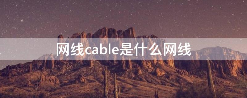 网线cable是什么网线