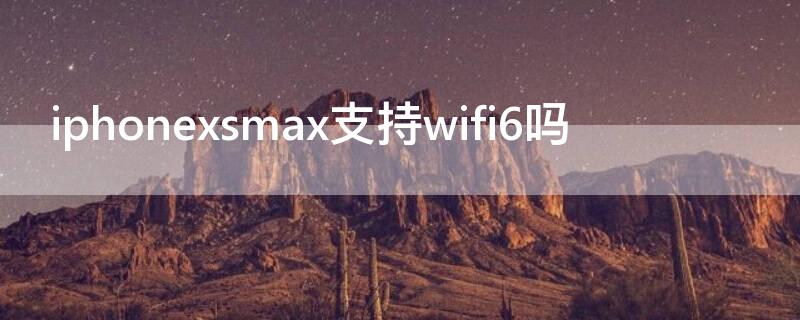 iPhonexsmax支持wifi6吗