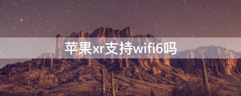 iPhonexr支持wifi6吗（苹果XR支持wifi6吗）
