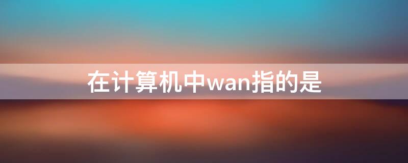 在计算机中wan指的是（在计算机网络术语中WAN表示什么）