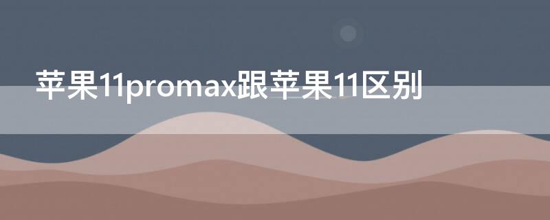 iPhone11promax跟iPhone11区别（iphone11promax和iphone11区别）