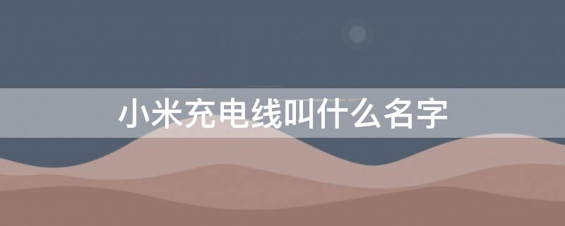 小米充电线叫什么名字（小米的充电线长什么样）