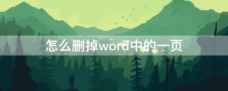 怎么删掉word中的一页（怎么删掉word中的一页的页码）