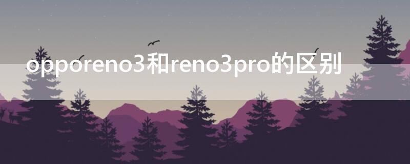 opporeno3和reno3pro的区别（opporeno3和reno3pro处理器一样吗）