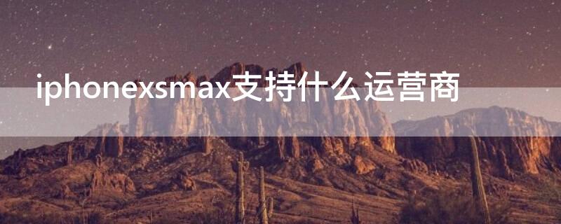 iPhonexsmax支持什么运营商 xsmax显示运营商