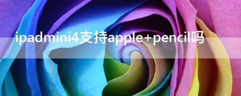 ipadmini4支持apple（ipadmini4支持pencil吗）