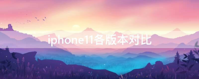 iPhone11各版本对比（iPhone11版本对比）