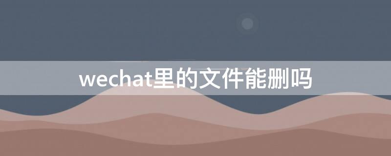 wechat里的文件能删吗（wechat是什么文件夹可以删除吗）