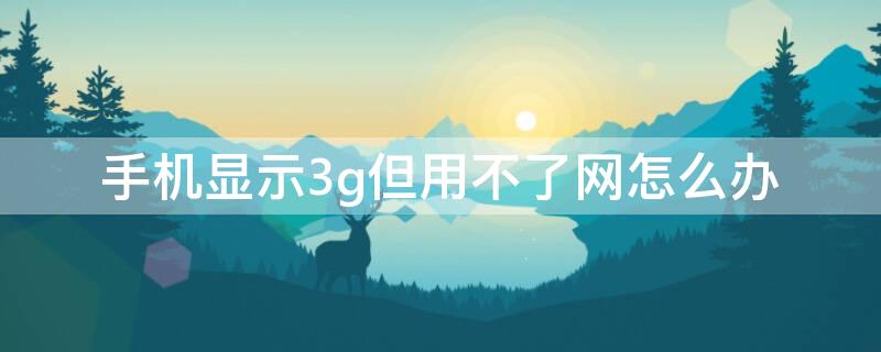 手机显示3g但用不了网怎么办 手机显示3g上不了网怎么回事