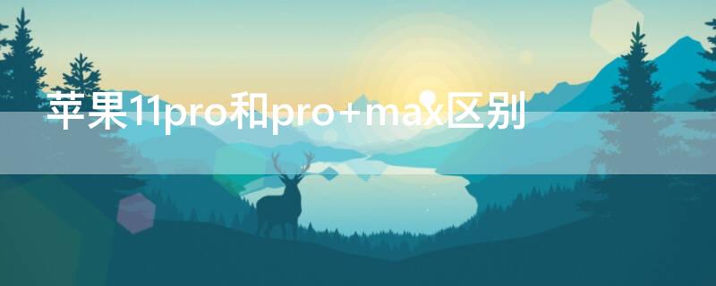 iPhone11pro和pro（iphone11pro和promax手机壳一样吗）