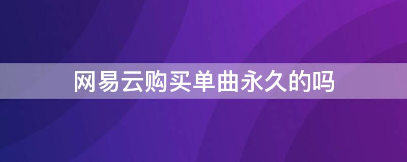 网易云购买单曲永久的吗 网易云永久购买单曲什么意思