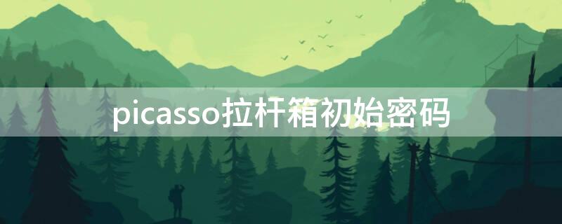 picasso拉杆箱初始密码（picasso拉杆箱密码锁怎么开）