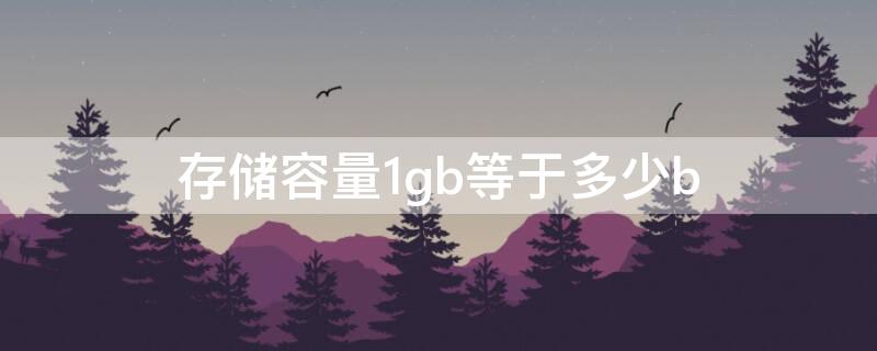 存储容量1gb等于多少b（1gb存储容量是多少）