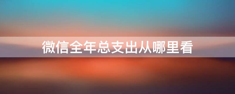 微信全年总支出从哪里看 微信年末总支出在哪看