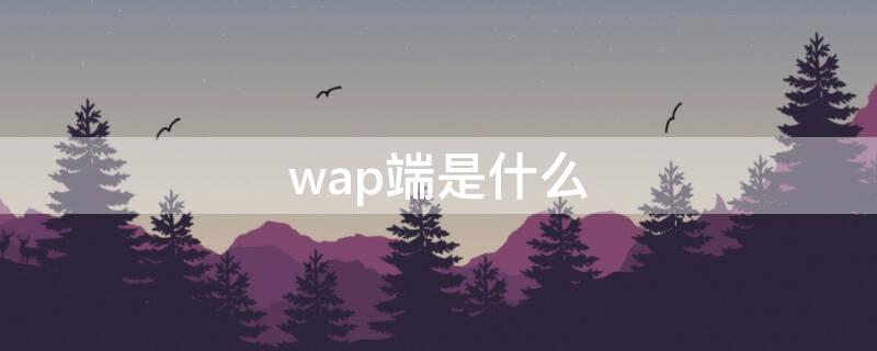 wap端是什么（wap是什么?）