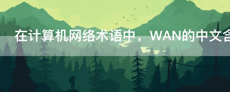 在计算机网络术语中，WAN的中文含义是