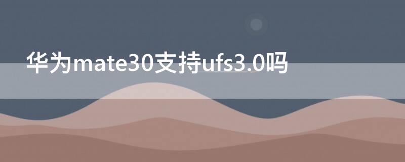 华为mate30支持ufs3.0吗（华为mate30是ufs3.1吗）