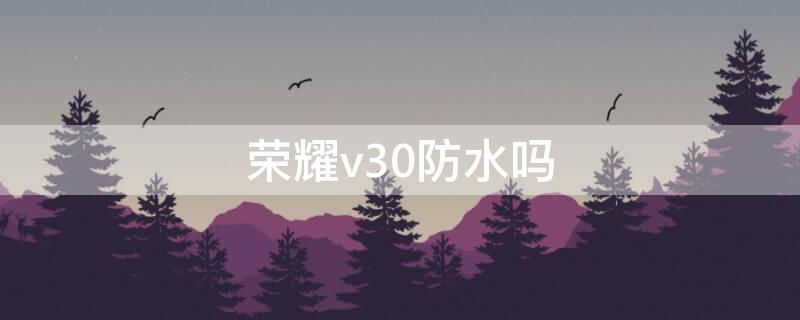 荣耀v30防水吗（荣耀v30pro防水吗?）