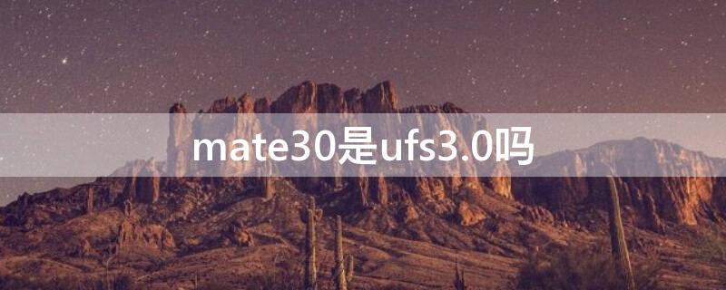 mate30是ufs3.0吗（mate30是ufs3.1吗）