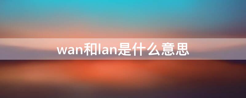 wan和lan是什么意思 wan和lan啥意思