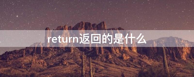 return返回的是什么 return;返回的是什么