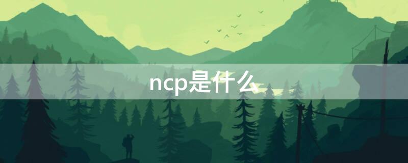 ncp是什么（NCP是什么材料）