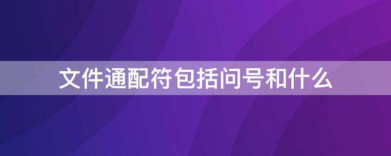 文件通配符包括问号和什么 在查找文件时通配符与问号的含义是什么