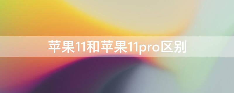 iPhone11和iPhone11pro区别 iphone11和iphone11pro区别屏幕