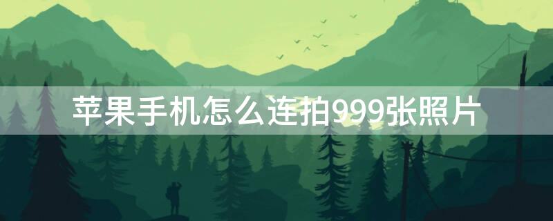 iPhone手机怎么连拍999张照片 苹果手机如何连拍999张照片