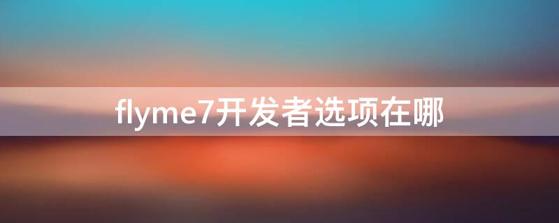 flyme7开发者选项在哪（flyme怎么打开开发者选项）