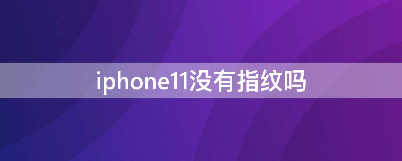 iPhone11没有指纹吗（苹果11没有指纹的吗）