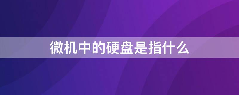 微机中的硬盘是指什么（在微机中硬盘属于什么）