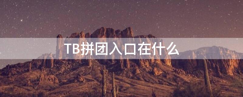 TB拼团入口在什么（TB是团建吗）