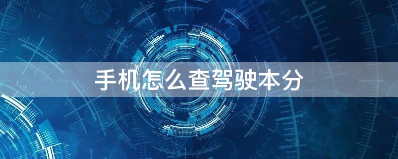 手机怎么查驾驶本分（手机怎么查驾驶分）