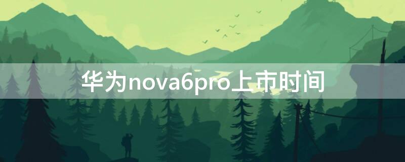 华为nova6pro上市时间（华为nova6pro发布时间）