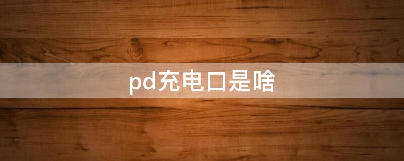 pd充电口是啥 pd充电口是啥意思