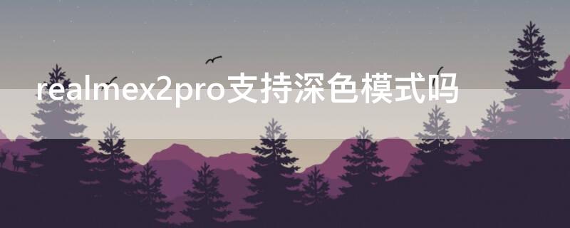 realmex2pro支持深色模式吗（realmex50pro颜色）