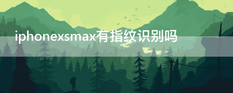 iPhonexsmax有指纹识别吗（iphonexsmax有指纹识别吗?）