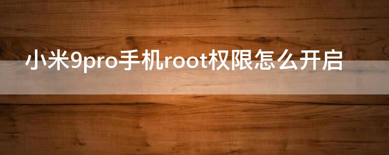 小米9pro手机root权限怎么开启（小米9pro怎么获取root权限）