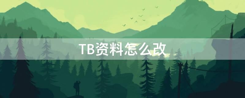 TB资料怎么改（调整tb是什么意思啊）