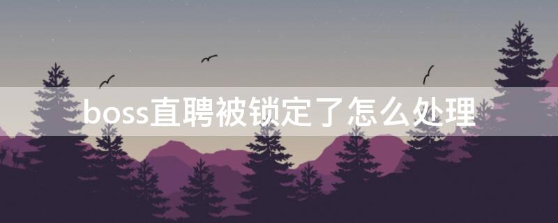 boss直聘被锁定了怎么处理（boss直聘锁定处理办法）