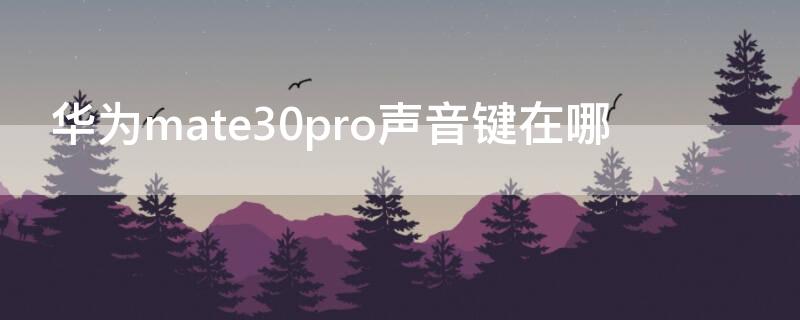 华为mate30pro声音键在哪 华为mate30pro声音键在哪调