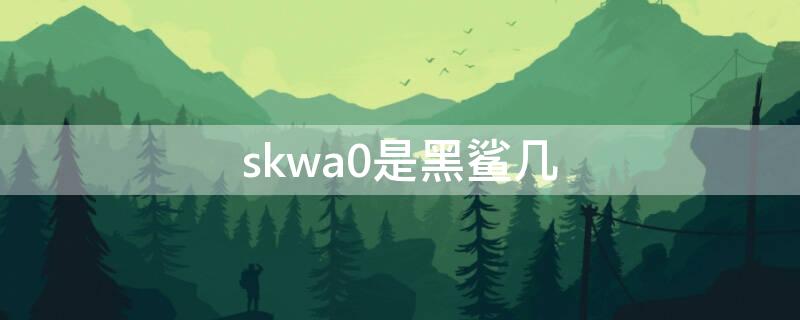 skwa0是黑鲨几（skw-a0是黑鲨几）