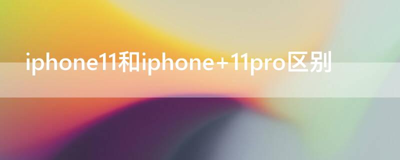 iPhone11和iPhone iphone11和iphone12