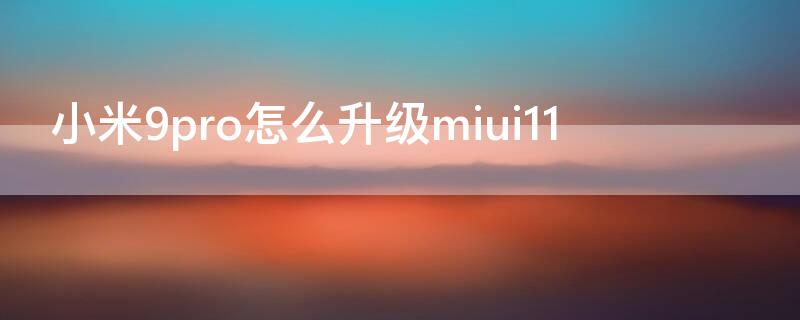 小米9pro怎么升级miui11（小米9pro可以升级miui12.5）